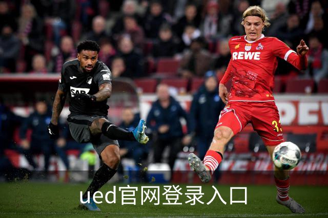 ued官网登录入口公司介绍